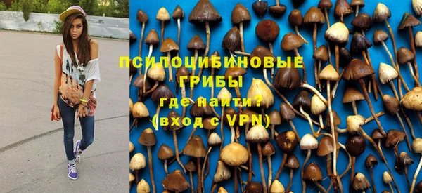 прущий лед Няндома